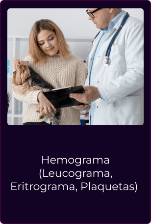 Card-Aulas-Intensivo-_2_-_1_