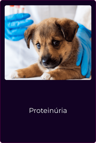 Card_Aulas_-_Intensivo__5__1_