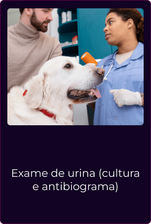 Card_Aulas_-_Intensivo__6__1_